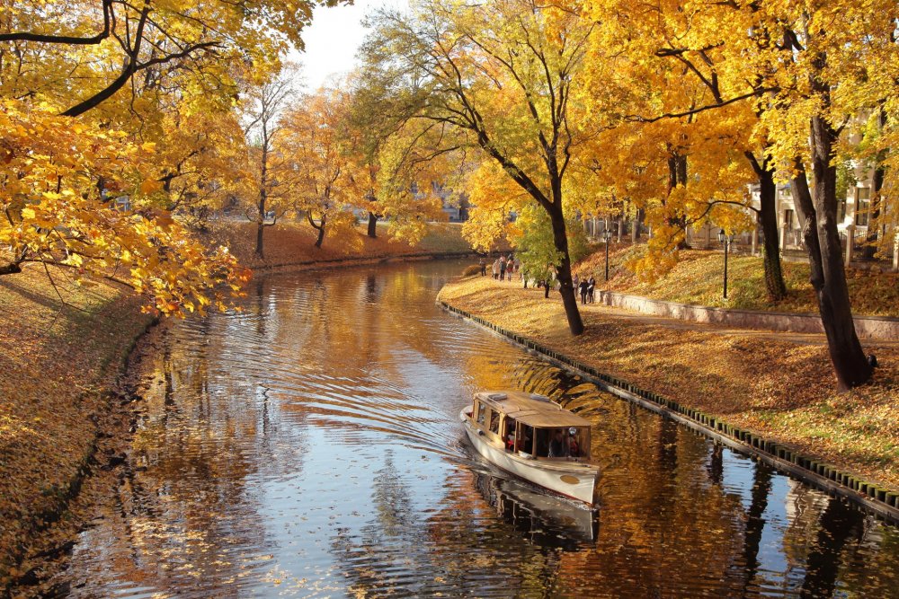 Золотая осень в Калининграде