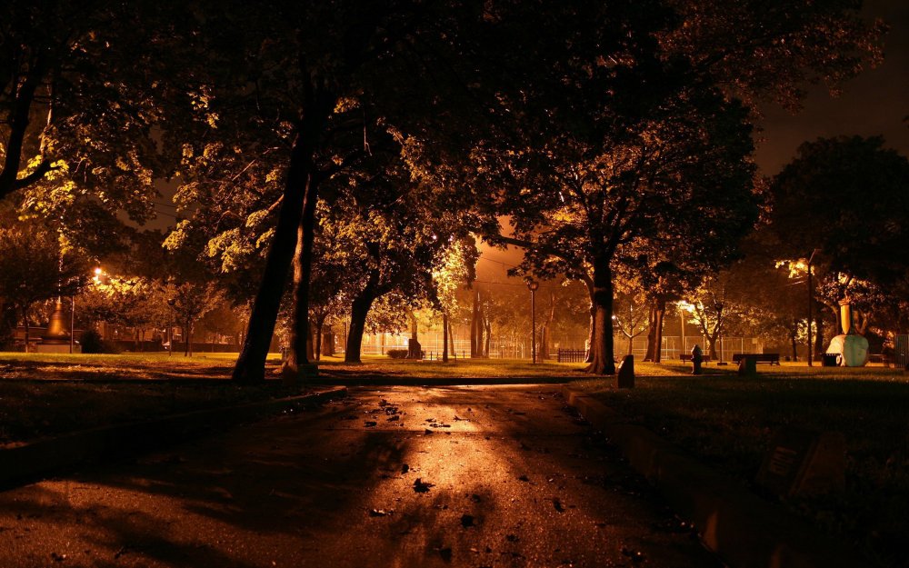 Ночной осенний парк