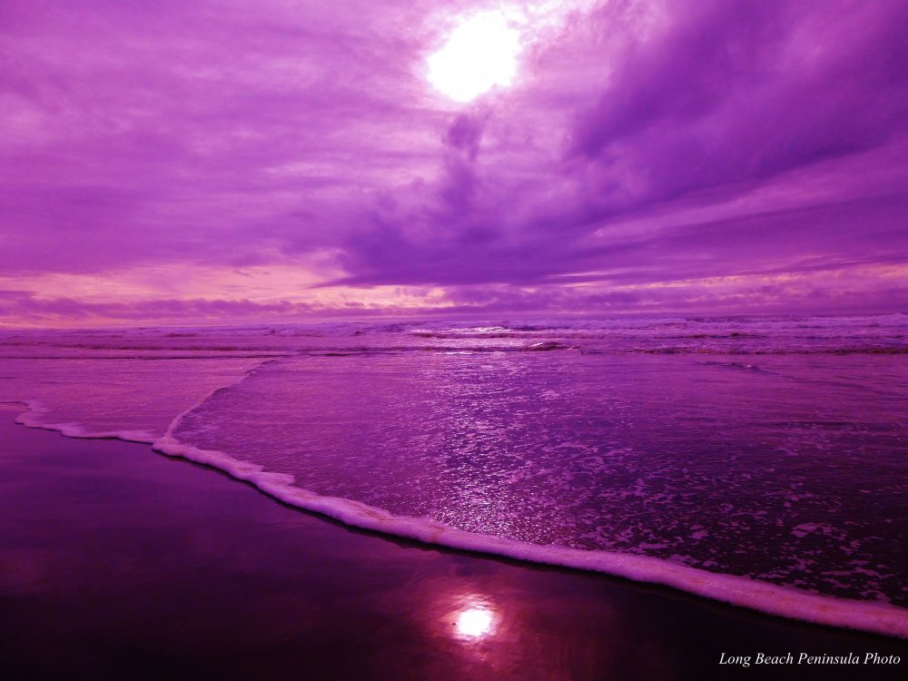 Фиолетовый закат в Лос Анджелесе