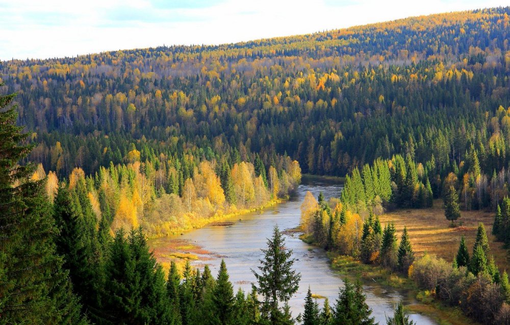 Пермский край осенью Койва река