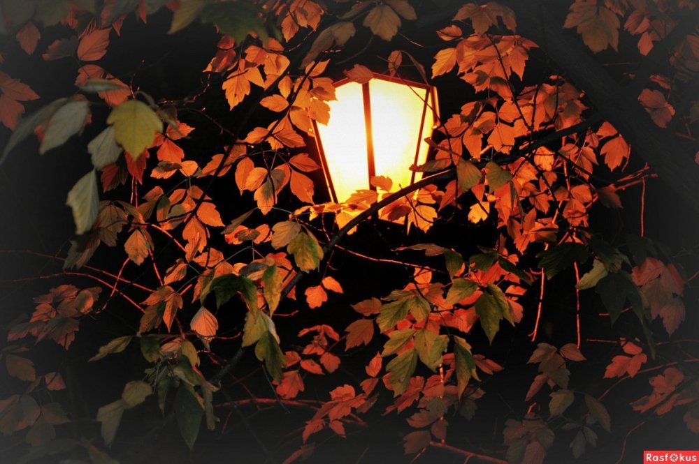 Осень вечер