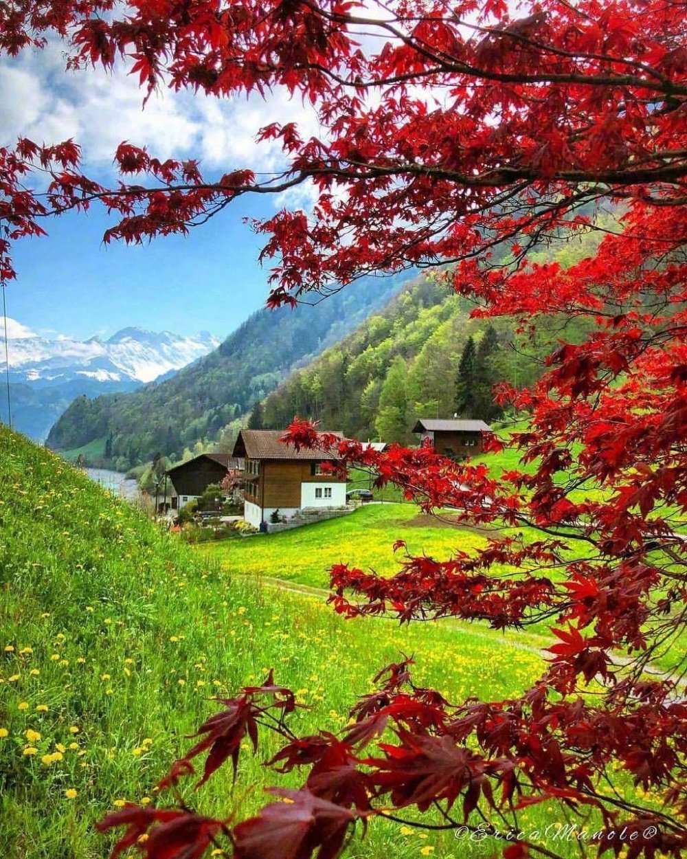 Природа швейцарии самые красивые