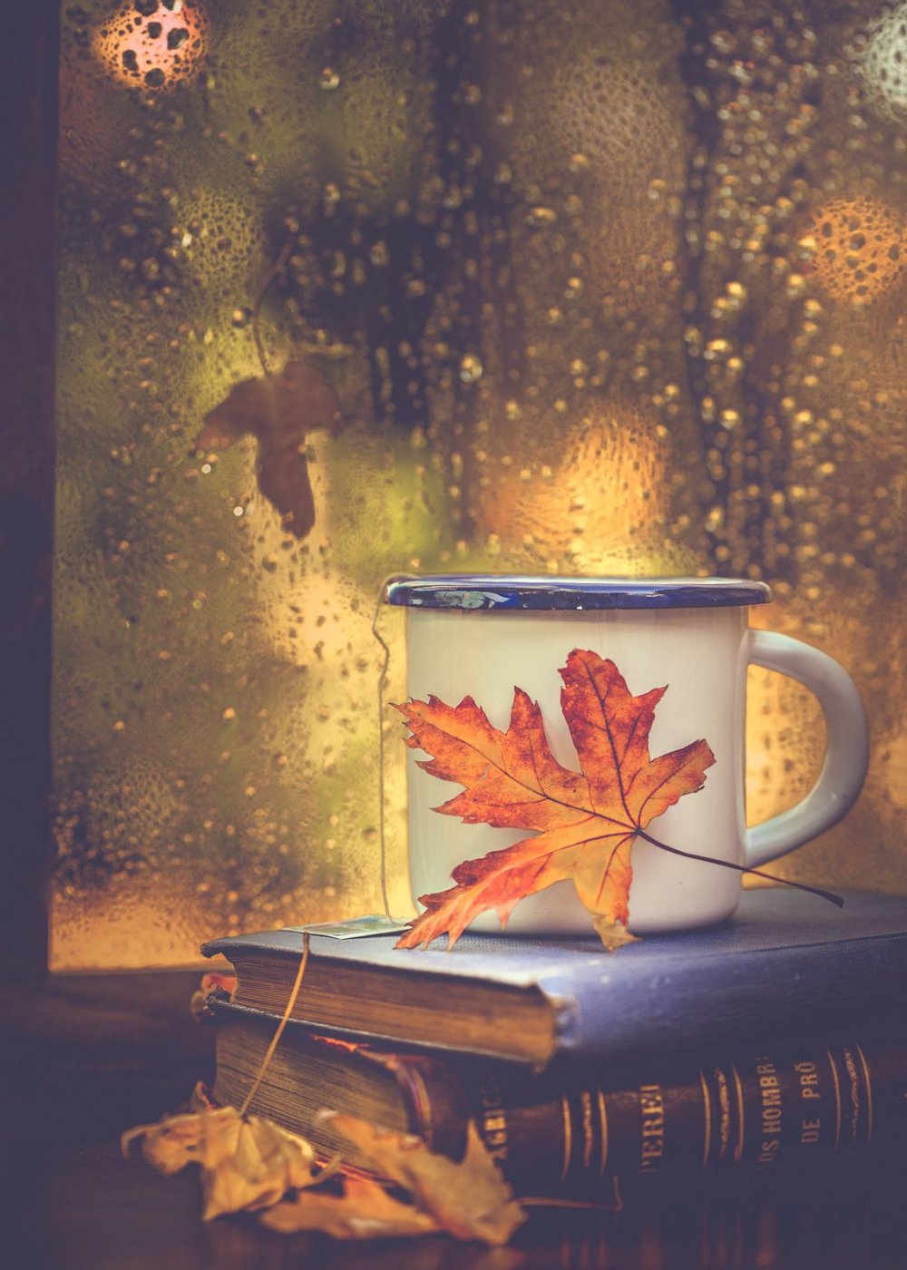 Осень дождь кофе