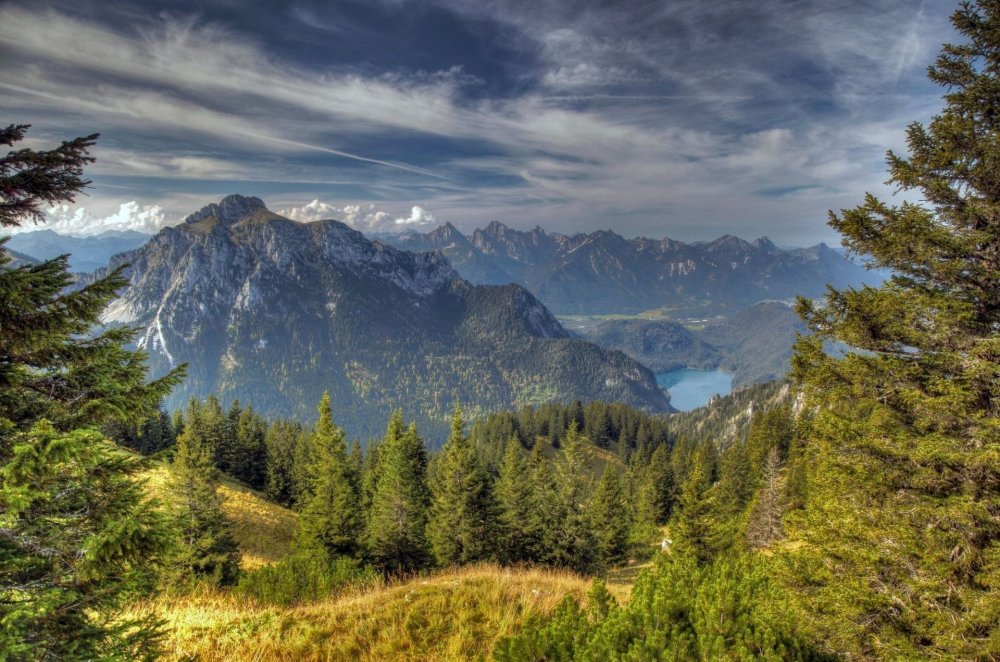Баварский лес горы