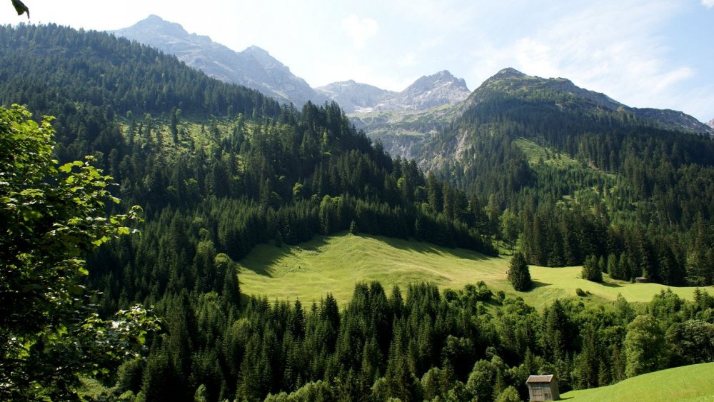 Тироль Австрия природа