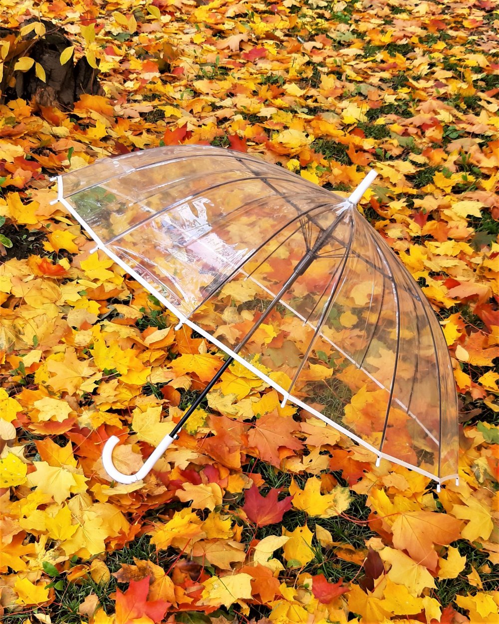 Зонт с осенними листьями