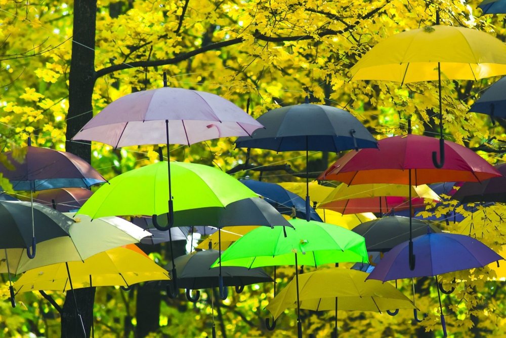 Разноцветный зонт