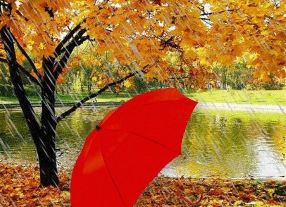 Зонтик листопад