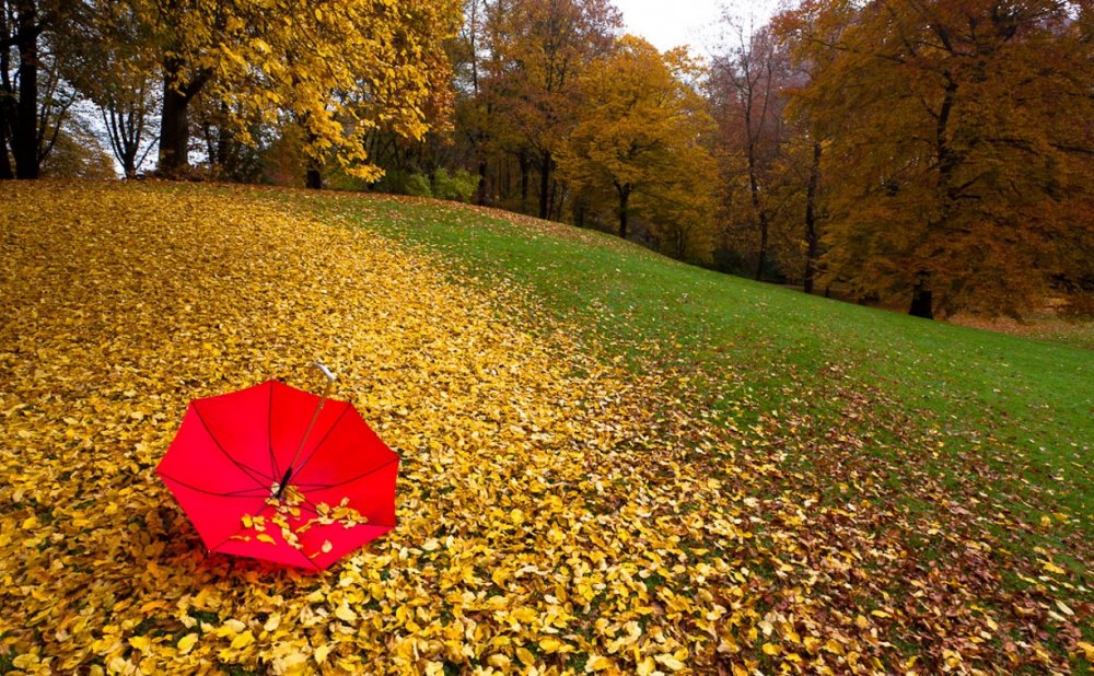Красный осенний зонтик
