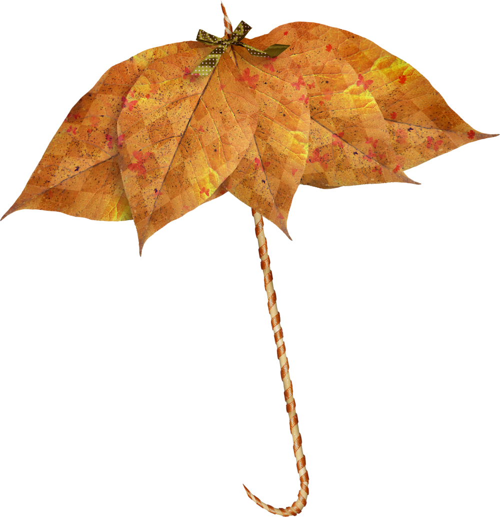 Зонтик из осенних листьев на прозрачном фоне