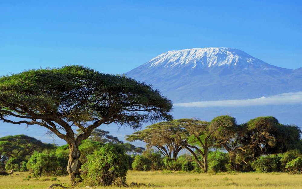Килиманджаро гора, танзания