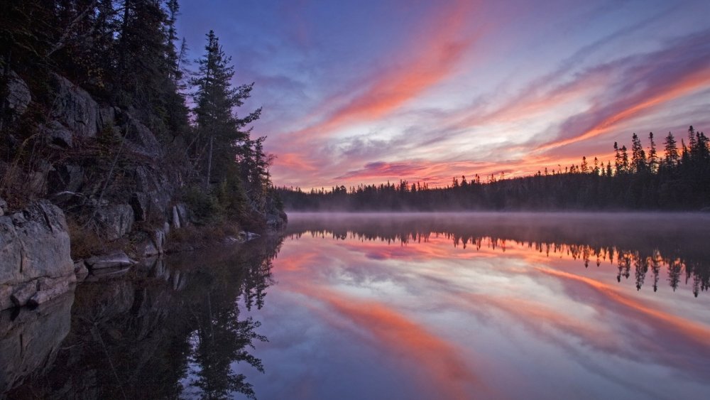 Леса озера Онтарио