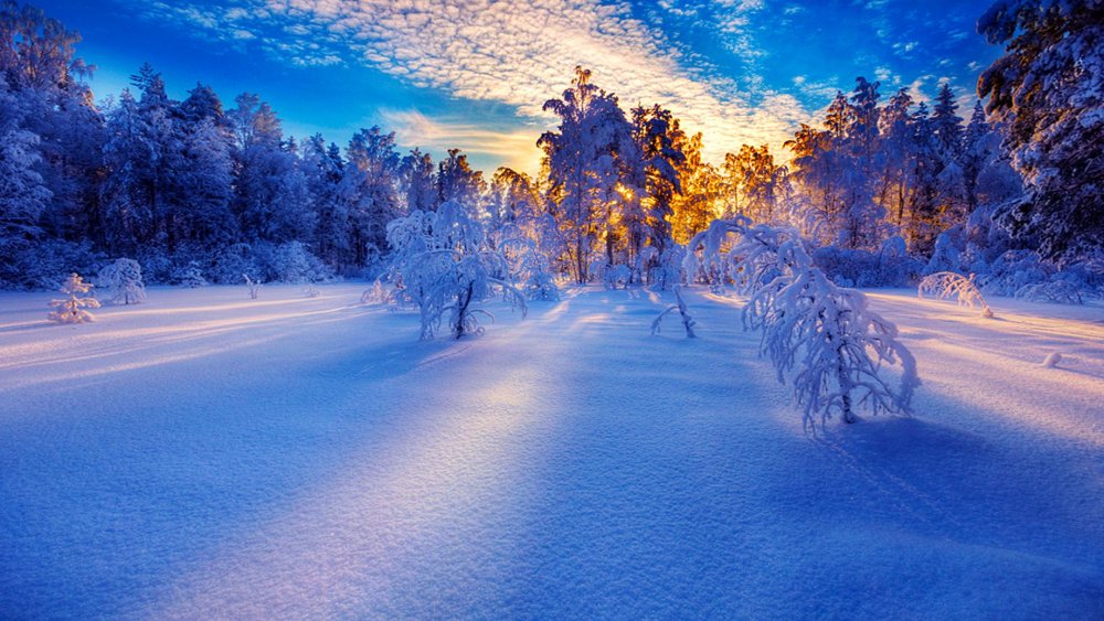 Красивые пейзажи зимы