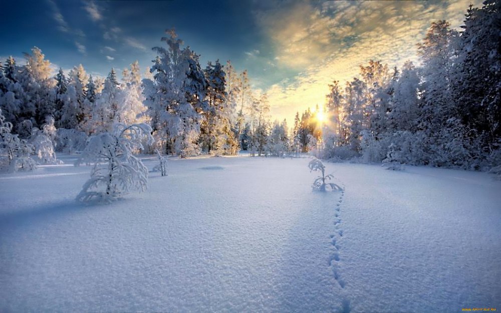 Снежная красота зимы