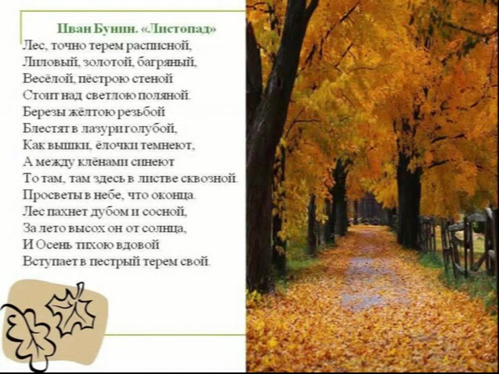 Иван Бунин листопад стихотворение