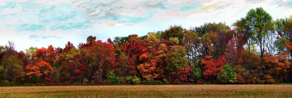 Осенний пейзаж панорама