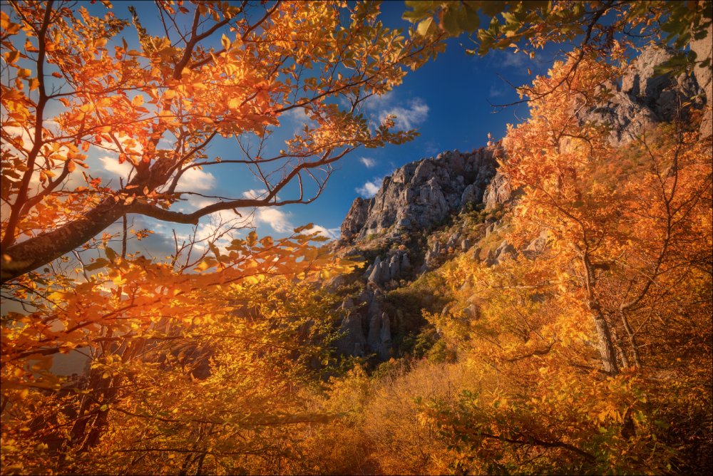 Осенний лес Демерджи