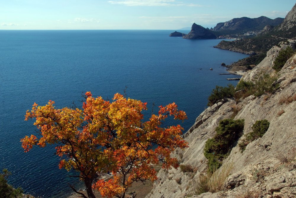 Черное море Сочи осень