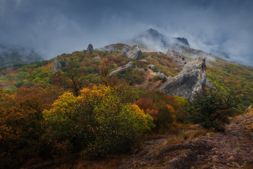 Лес Крым гора Джимерджи