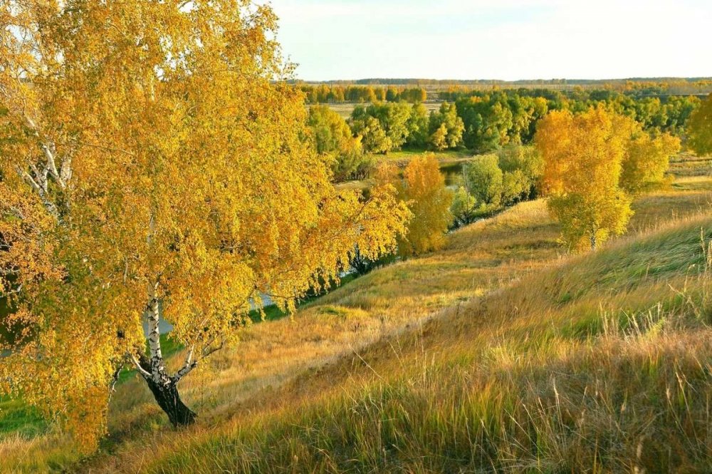 Природа России Золотая осень