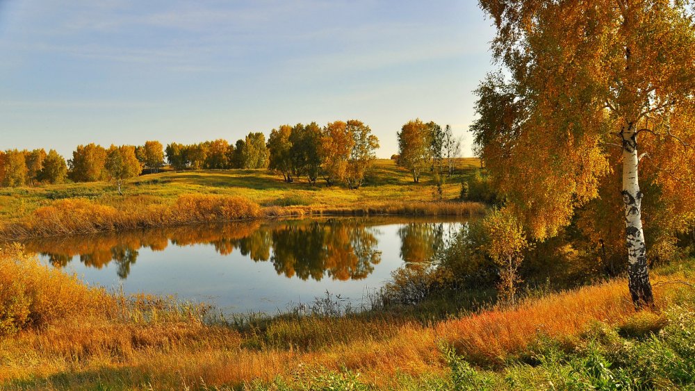 Золотая осень средняя полоса России природа