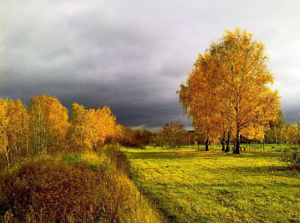 Русская природа осенью