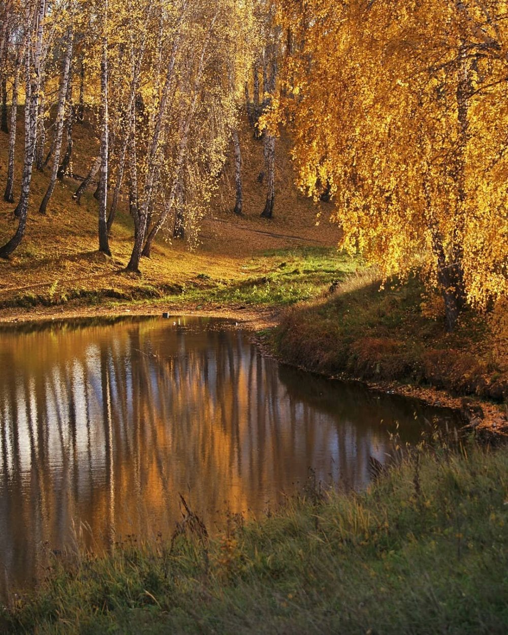 Золотая осень в россии