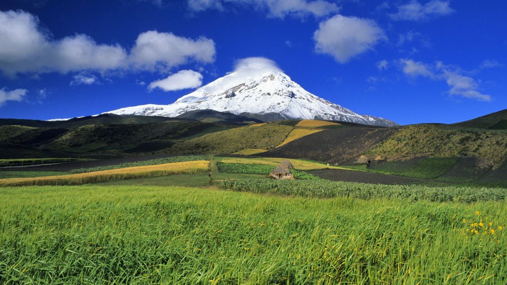 Эквадор вулкан Чимборасо