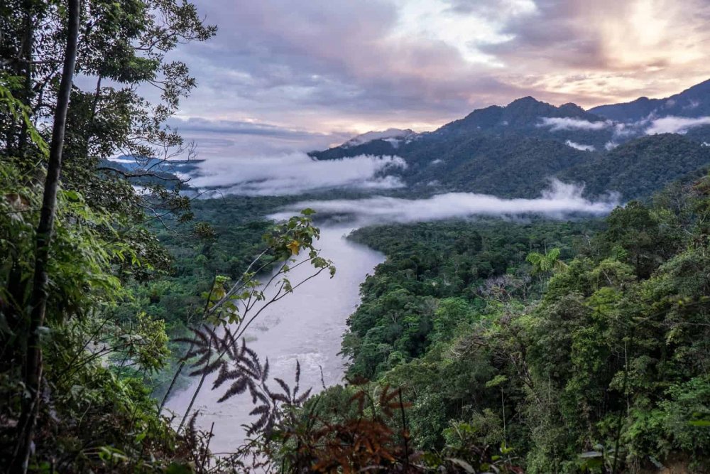Амазонские джунгли Эквадора.
