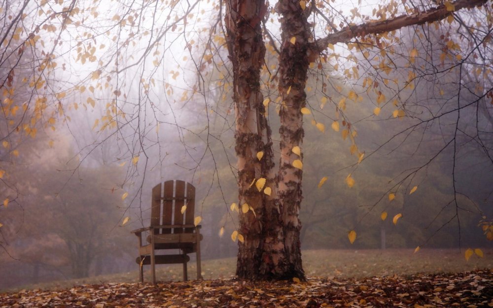 Осень одиночество
