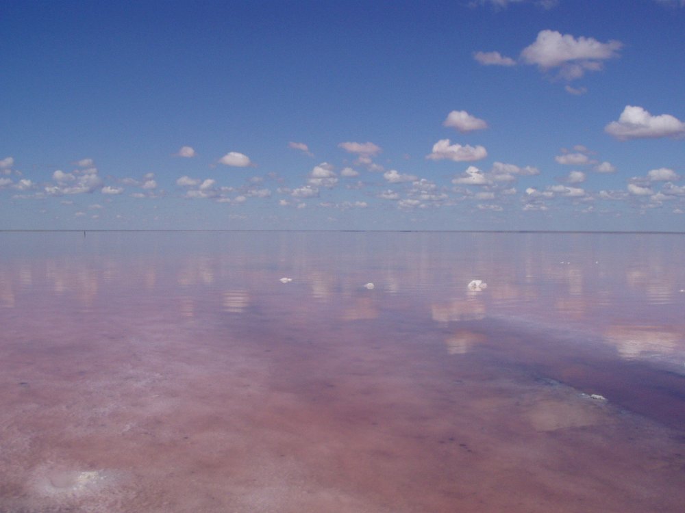 Волгоград розовое озеро Эльтон