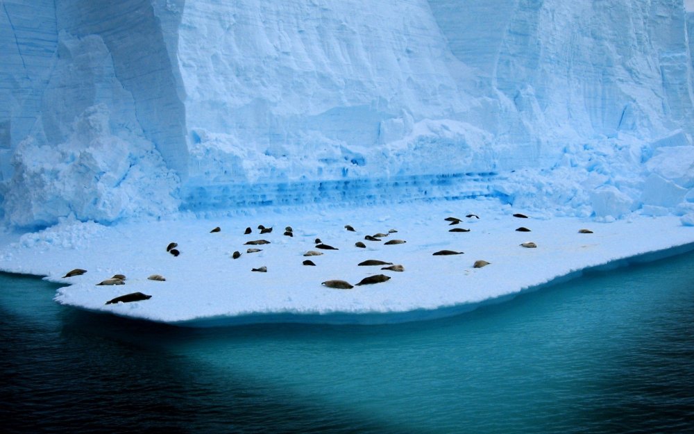 Озеро Восток в Антарктиде