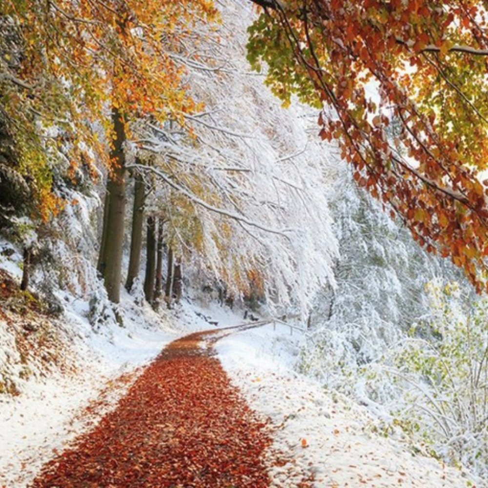 Осень зима природа