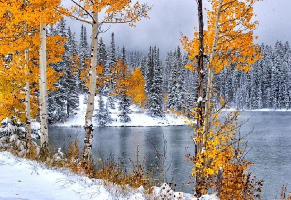 Природа Сибири поздней осенью