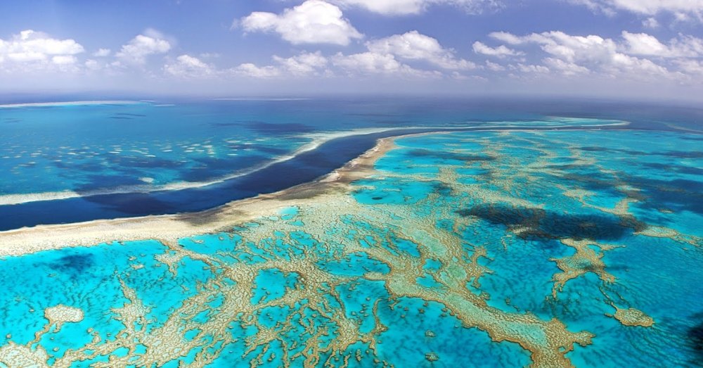 Австралия материк большой Барьерный риф