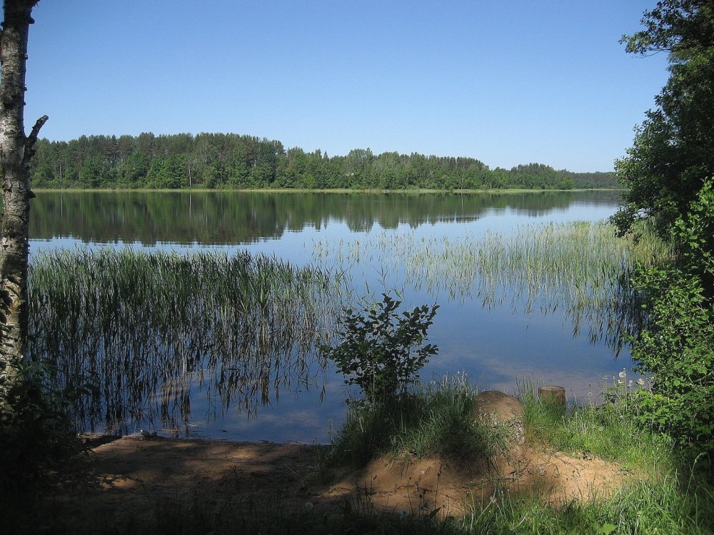Озеро Тряское Селигер
