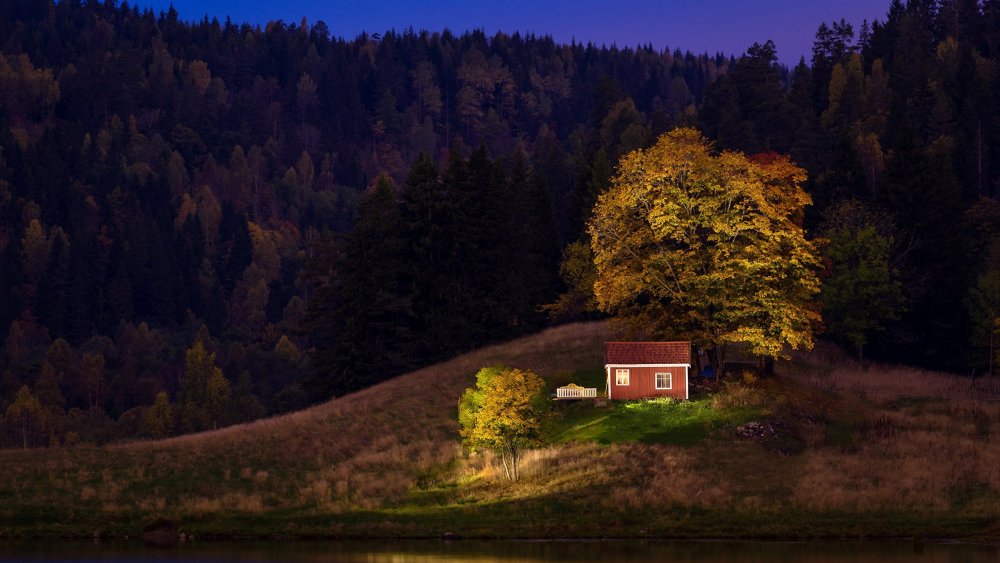 Дом в Норвегии у озера и леса
