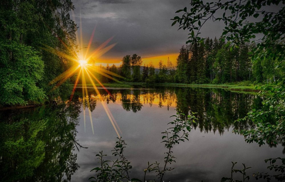 Лес озеро солнце