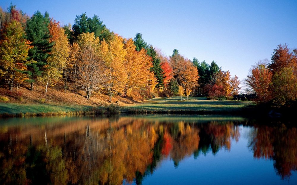 Осень красота природы
