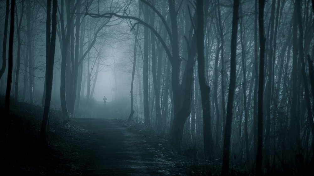 Темный лес Твайлайт