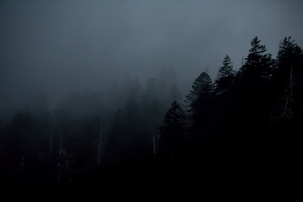 Густой туман ночью