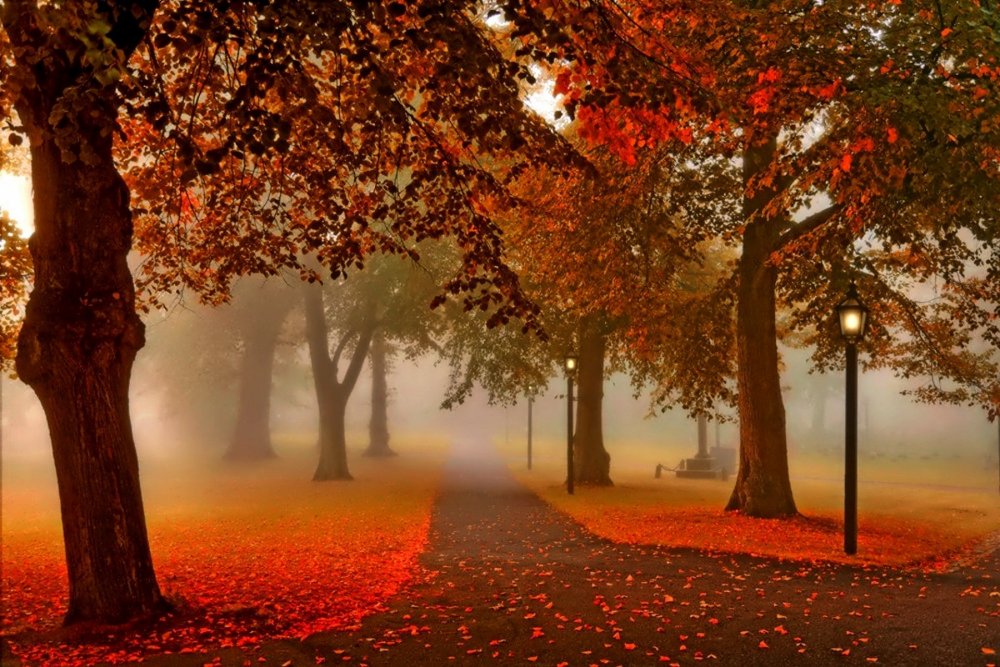 Осенняя аллея в закате