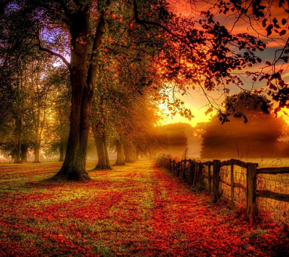 Осенний закат