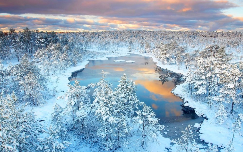 Удивительные зимние пейзажи
