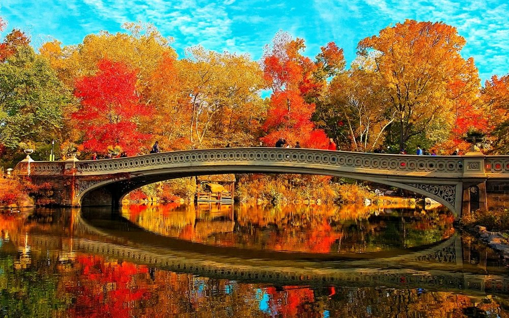 Золотая осень парк мостик