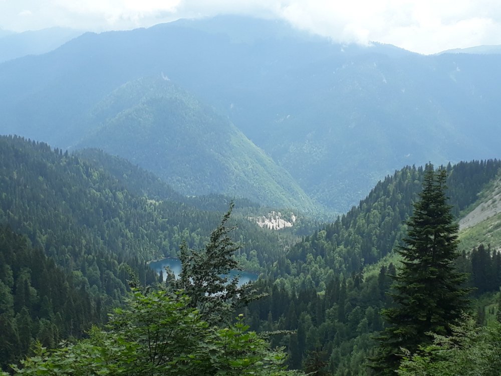 Гора Пшегишхва Абхазия