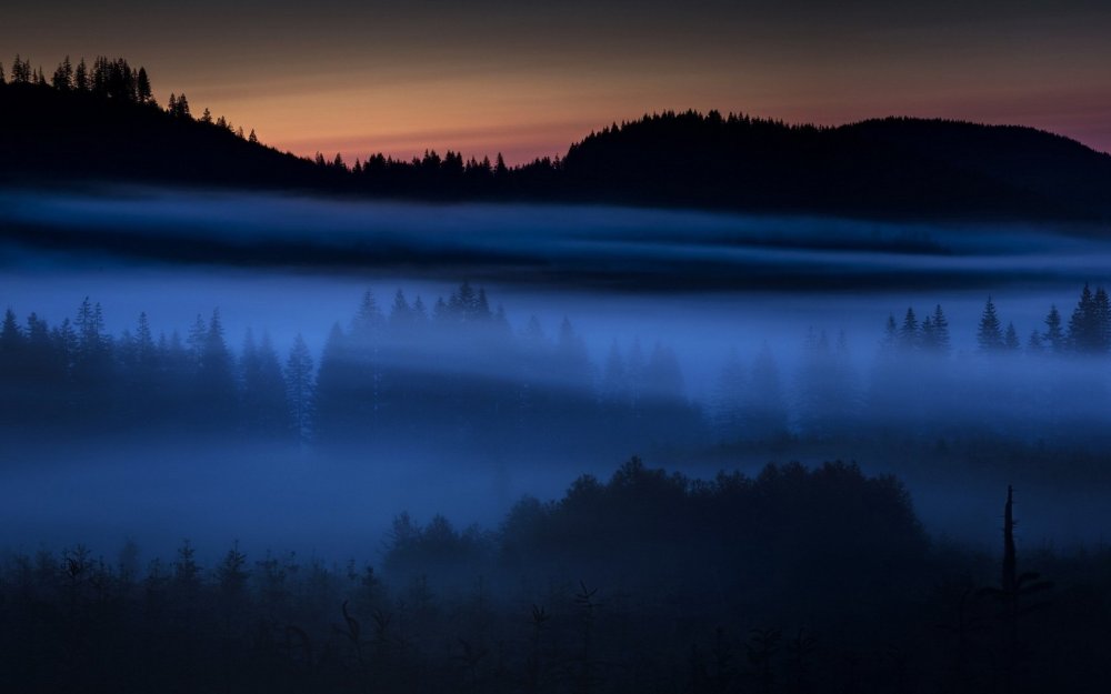 Туман ночью