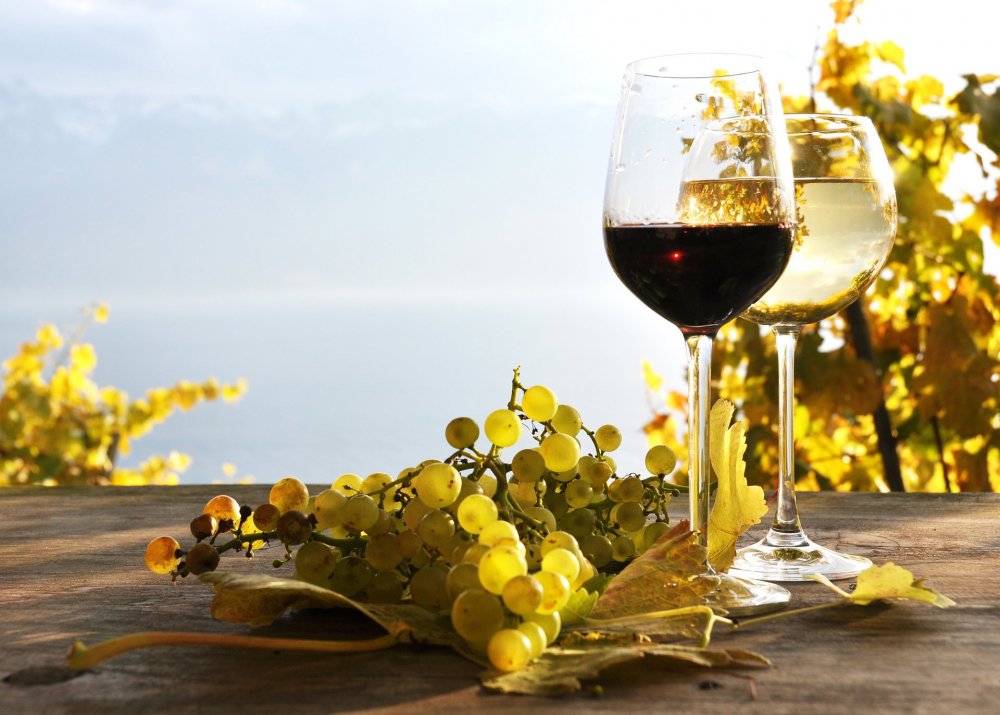 Вино виноград море