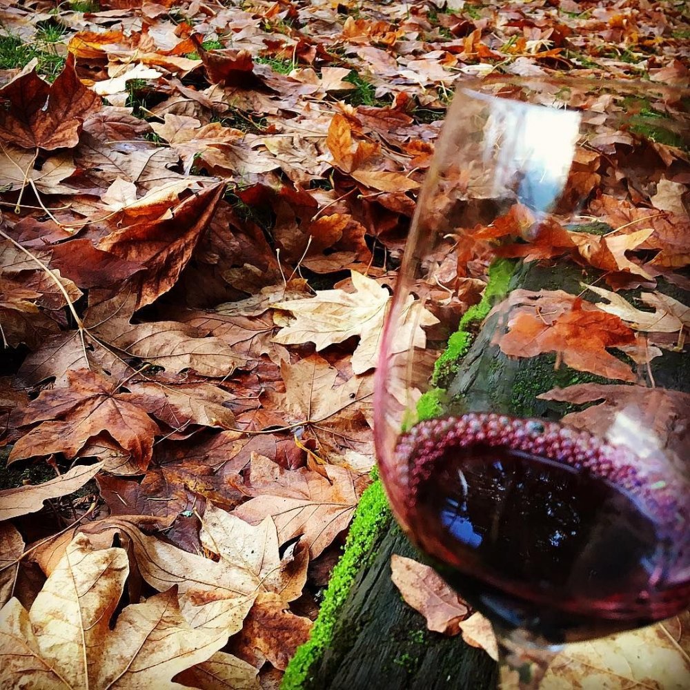 Вино и осенние листья