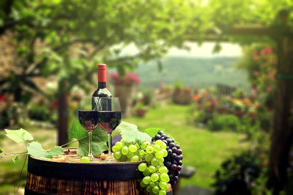 Виноград Молдова вино